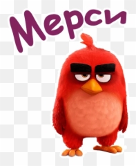 Telegram Sticker - Cartoon Emoji,Angry Bird Emoji