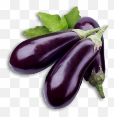 Aubergine Transparent Hq Png Image - Scientific Name Of Eggplant Emoji
