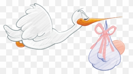 Png Stork Carrying Baby Girl - Baby Stork Png Emoji,Stork Emoji
