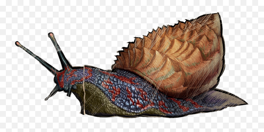 Achatina - Ark Forum Atlas Forum Deutsches Forum Für Ark Ark Survival Evolved Achatina Emoji,Ark Emoji