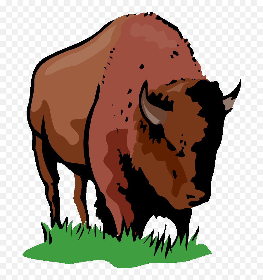 10 Bison Clipart Face Free Clip Art Stock Illustrations - Clip Art Emoji,Bison Emoji