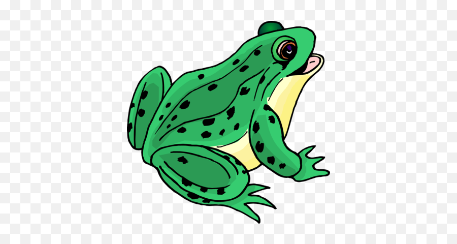 Frog Png And Vectors For Free Download - Dlpngcom Clip Art Picture Of Frog Emoji,Frog Emoji Png
