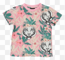 Httpsbirdzchildrencom Daily Httpsbirdzchildrencom - Tiger Emoji,Oriole Emoji