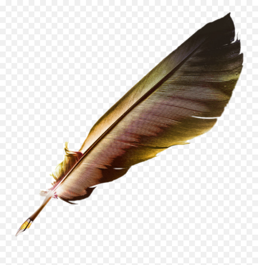 Quill Feather Writing - Quill Png Emoji,Quill Emoji