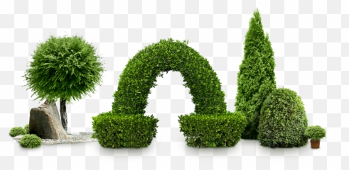 ftestickers bushes shrubs garden landscaping - Transparent Bushes Emoji