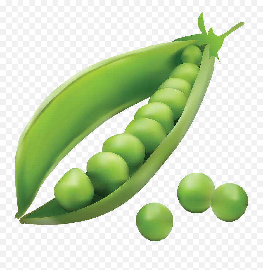 Shit Png - Seed Dispersal By Explosion Peas Emoji,Pea Emoji