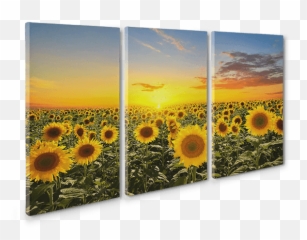 Triptych Canvas prints - Create Your 3 Panel Split Prints Painting Ideas Emoji