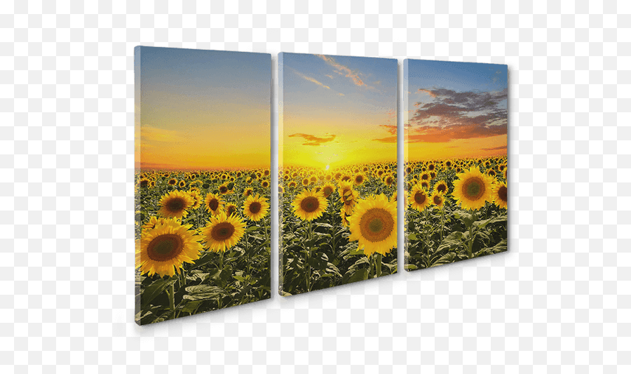 Triptych Canvas Prints - Create Your 3 Panel Split Canvas Prints Split Canvas Painting Ideas Emoji,Extra Large Emoji Pillow