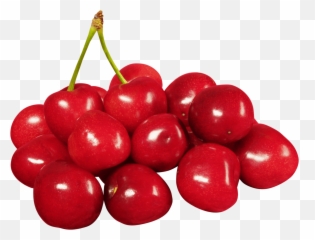 Download Free Cherries Png Image Icon - Cherry Png Emoji,Cherries Emoji