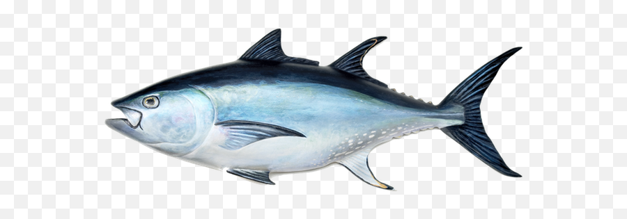 Spots Include Saltwater Environments - Fish Tuna Emoji,Tuna Emoji