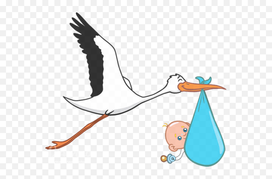 Stork Picture - Stork With Baby Png Emoji,Stork Emoji