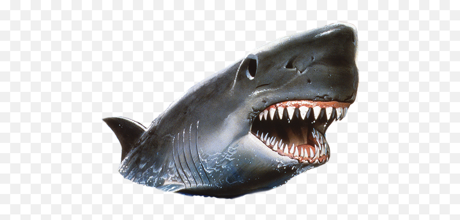 Jaw Png Free Jaw - Jaws Shark Png Transparent Emoji,Jaws Emoji
