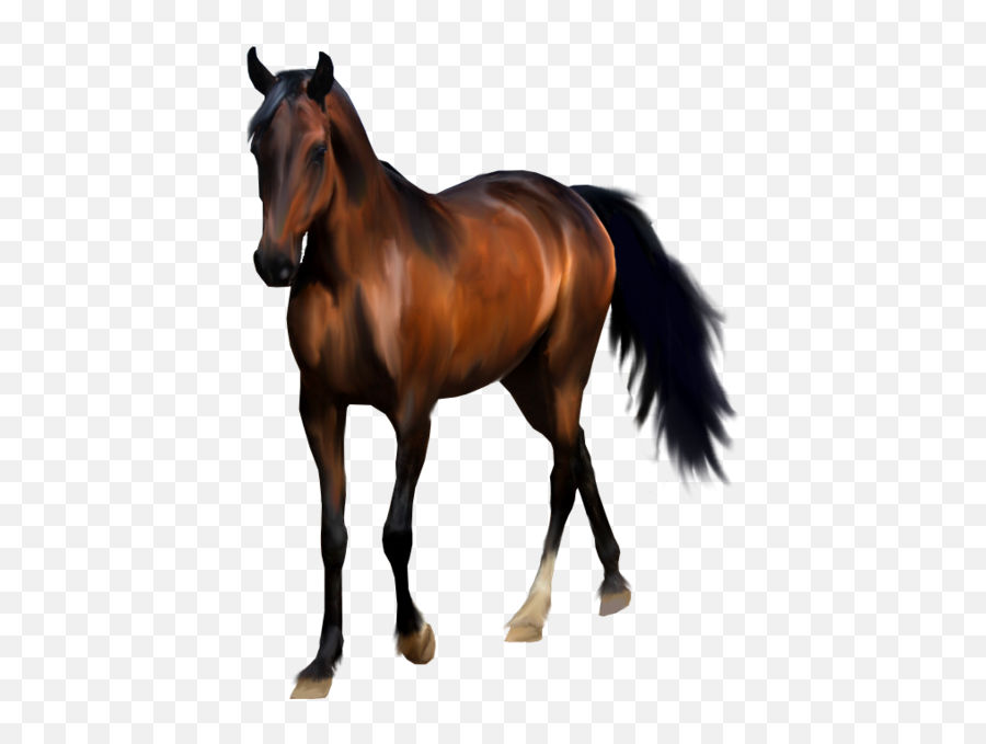 Horses - Bay Horse Transparent Emoji,Horse Emoticons