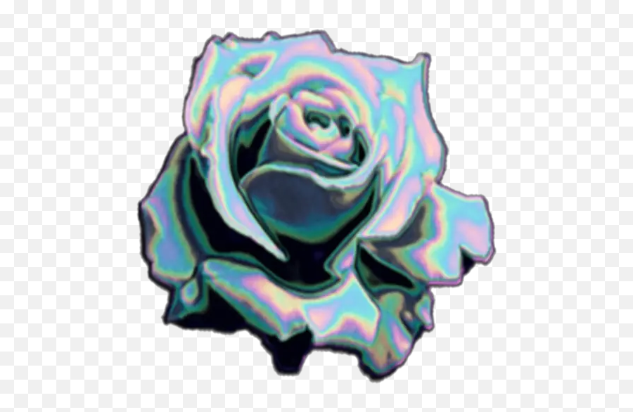 Rose Day Stickers For Whatsapp - Holographic Rose Emoji,Frog Tea Emoji