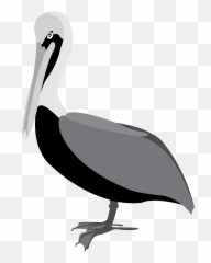 American White Pelican Clipart - Pelican Vector Emoji,Pelican Emoji