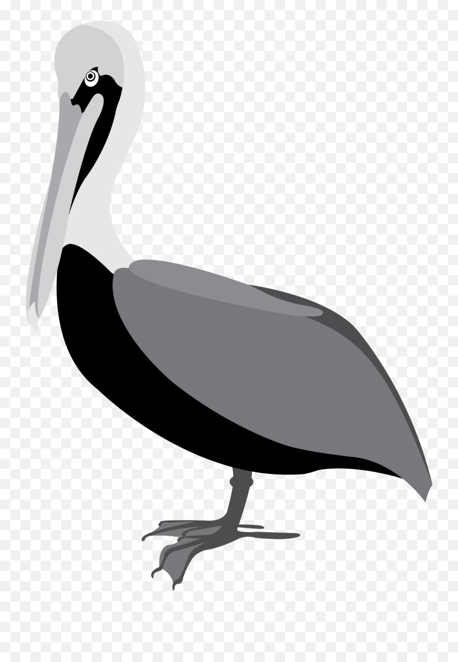 American White Pelican Clipart - Pelican Vector Emoji,Pelican Emoji