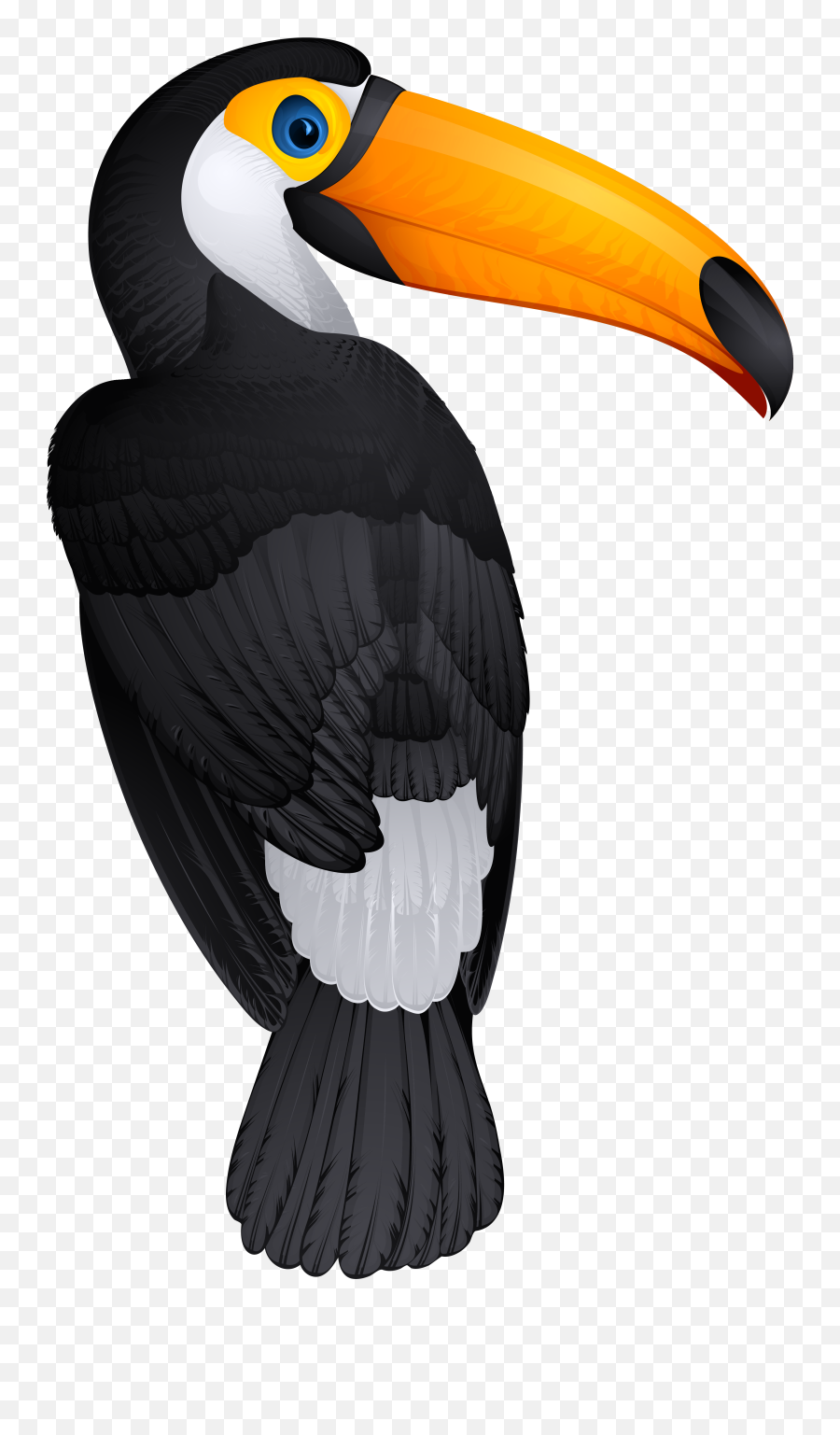 Toucan Clipart Black And White - Toucan Bird Png Emoji,Toucan Emoji