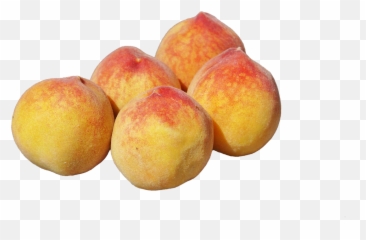 Peach Pome Fruit Fruit Food Healthy - Fruit Emoji,Dont Forget Emoji
