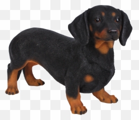 Dachshund Png - Emoji