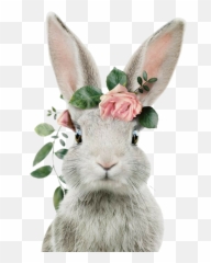 Easter Bunny - Sticker By Momo Bunny With Flower Crown Emoji,Easter Bunny Emoji