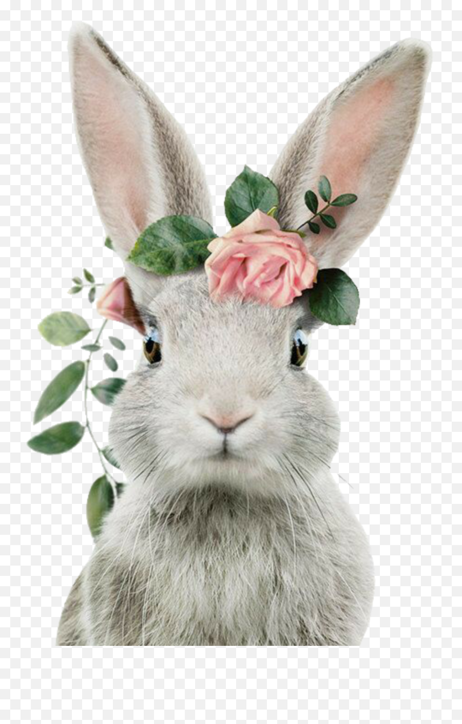 Easter Bunny - Sticker By Momo Bunny With Flower Crown Emoji,Easter Bunny Emoji