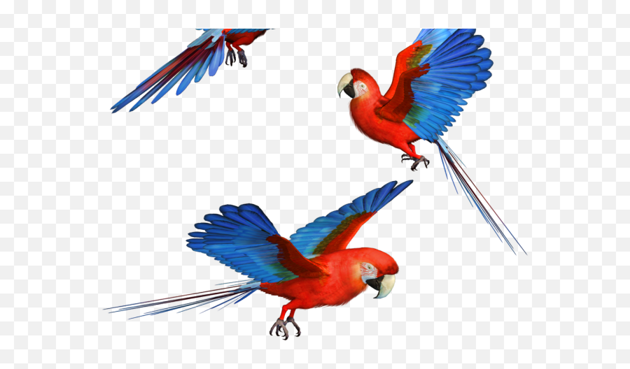 Parrot Clipart Transparent Background Parrots Emoji,Parrot Emoji