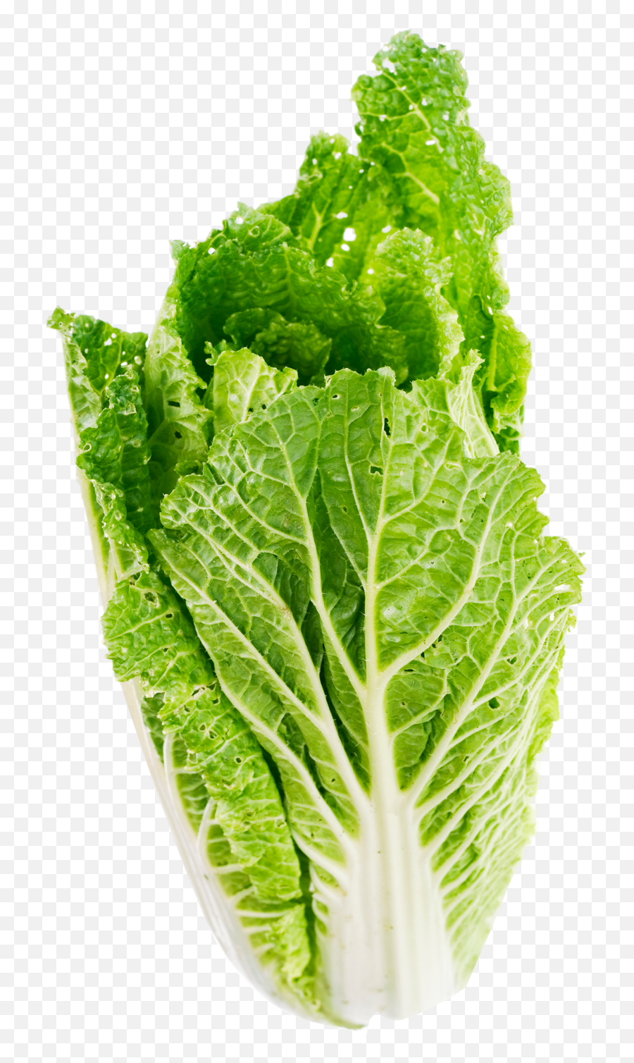 Lettuce Clipart Piece Lettuce Lettuce Piece Lettuce - Lettuce Leaf Transparent Background Emoji,Lettuce Emoji