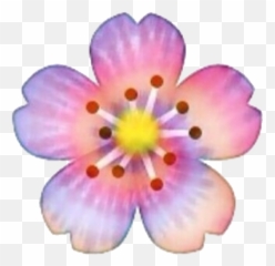 Flower Tiedye Rainbow Sticker - Cherry Blossoms Emoji Png,Tie Dye Emoji