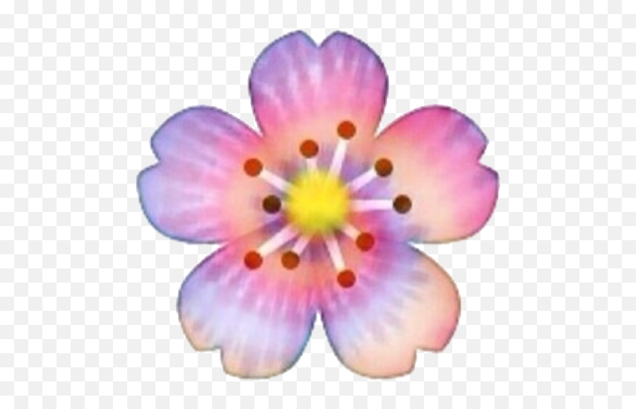 Flower Tiedye Rainbow Sticker - Cherry Blossoms Emoji Png,Tie Dye Emoji