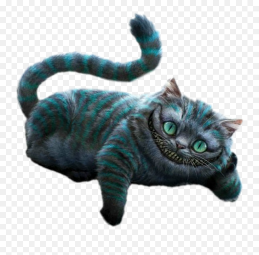Sonriente Gato Sticker By Stefania Sookie - Cat Yawns Emoji,Emoji Sonriente