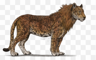 List Some Of Your Characters - Cheetah And Lion Mix Drawing Emoji,Jaguar Emoji