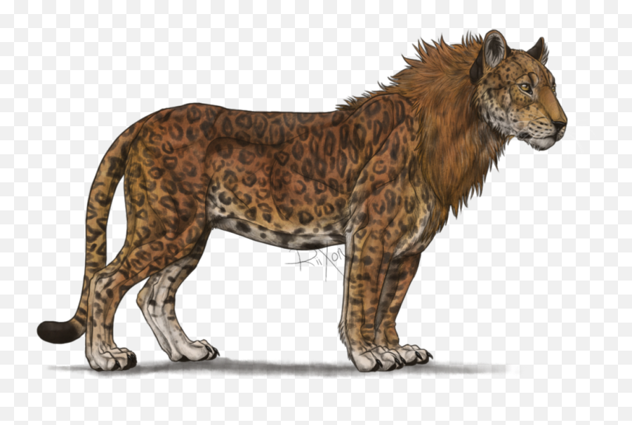 List Some Of Your Characters - Cheetah And Lion Mix Drawing Emoji,Jaguar Emoji