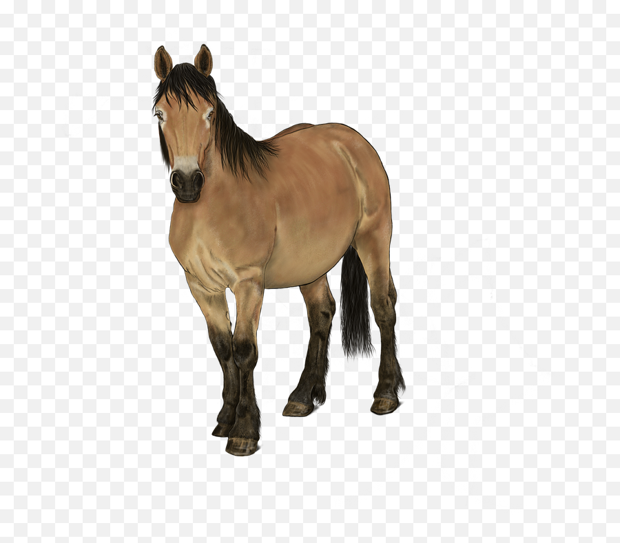 Horse Fawn Art Digital - Horse Png Emoji,Hand Horse Horse Emoji