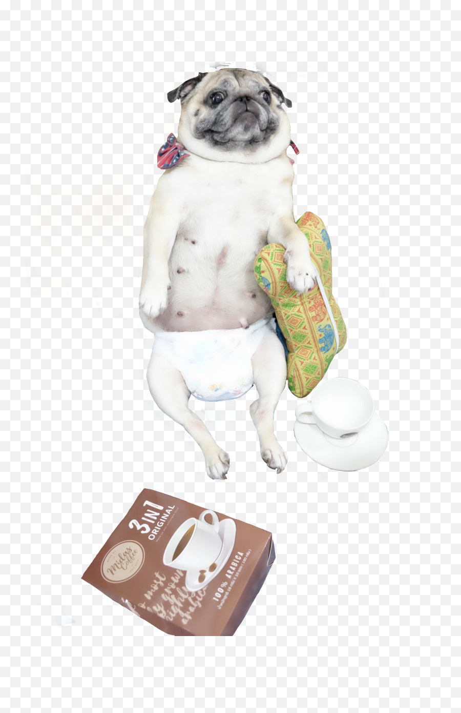 Pug Coffee 3in1 Freetoedit - Pug Emoji,Coffee Dog Emoji