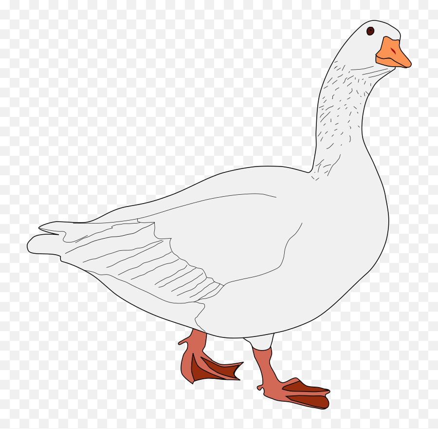 Goose Clipart Brown Duck Goose Brown Duck Transparent Free - Oca Bird Emoji,Goose Emoji