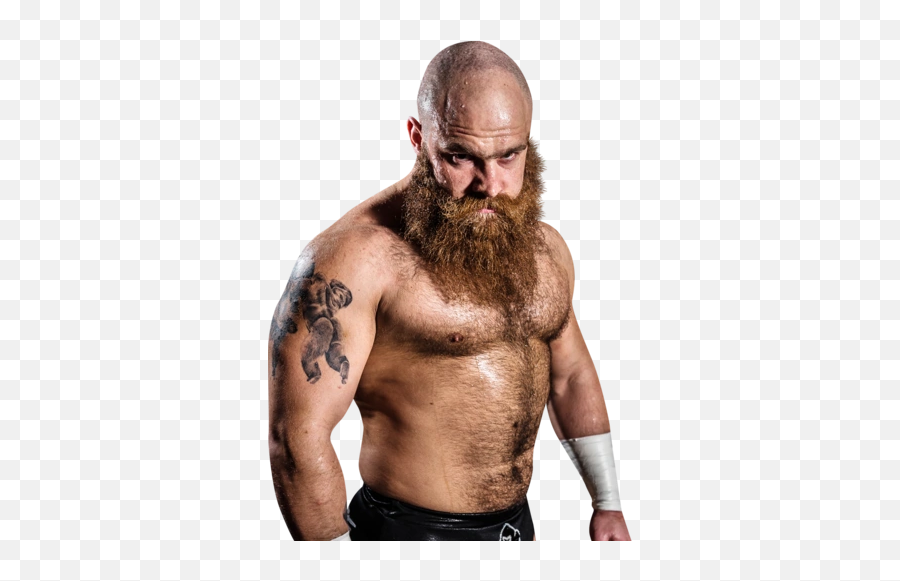 Wrestler Picture Requests - Page 741 Requests Ewb Primate Wcpw Emoji,Wrestling Emoji