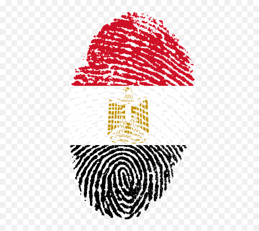 Egypt Flag Fingerprint - Challenges Of Digital India Emoji,Morocco Flag Emoji