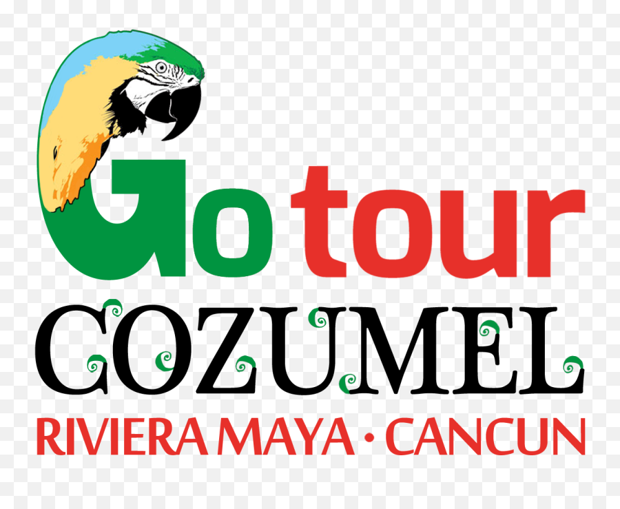 Terms And Conditions - Agencias De Viajes En Cozumel Emoji,Pornographic Emoji