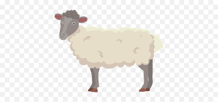 100 Free Lamb U0026 Sheep Illustrations - Pixabay Sheep Emoji,Ram Emoji