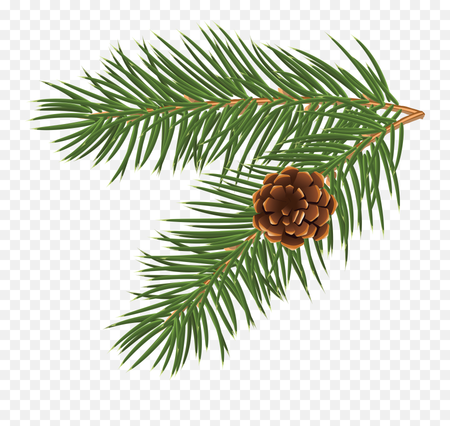 Library Of Pine Tree Branch Jpg Black And White Stock Png - Pine Cone Vector Png Emoji,Pine Tree Emoji