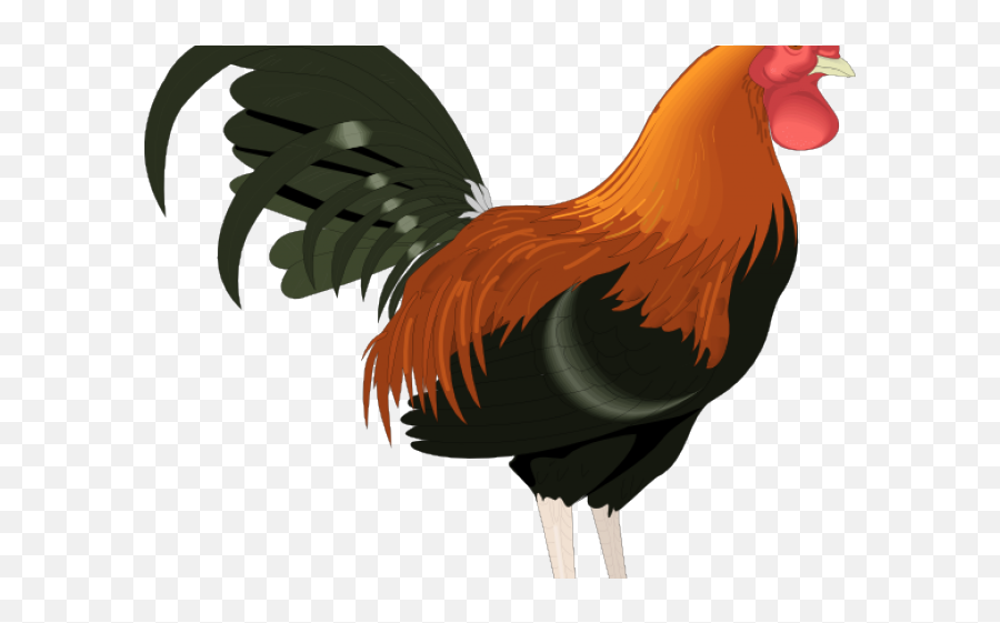 Rooster Clipart Png Transparent Png - Cartoon Rooster Realistic Emoji,Chicken Emoji Transparent