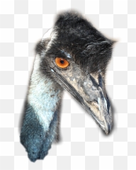 Ftestickers Bird Emu Remixit Remixed - Emoji