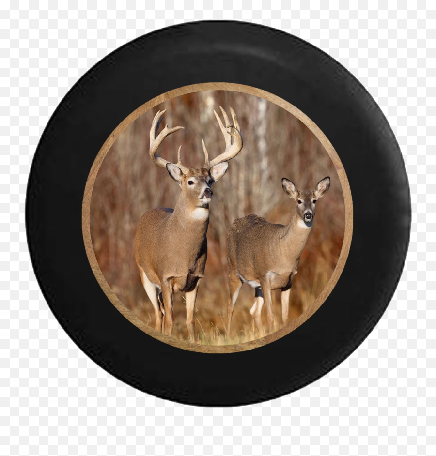 Products - White Tailed Deer Pair Emoji,Buck Deer Emoji