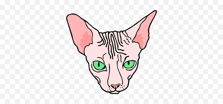 Free Angry Mad Vectors - Sphynx Cat Art Emoji,Cat Faces Emoticons
