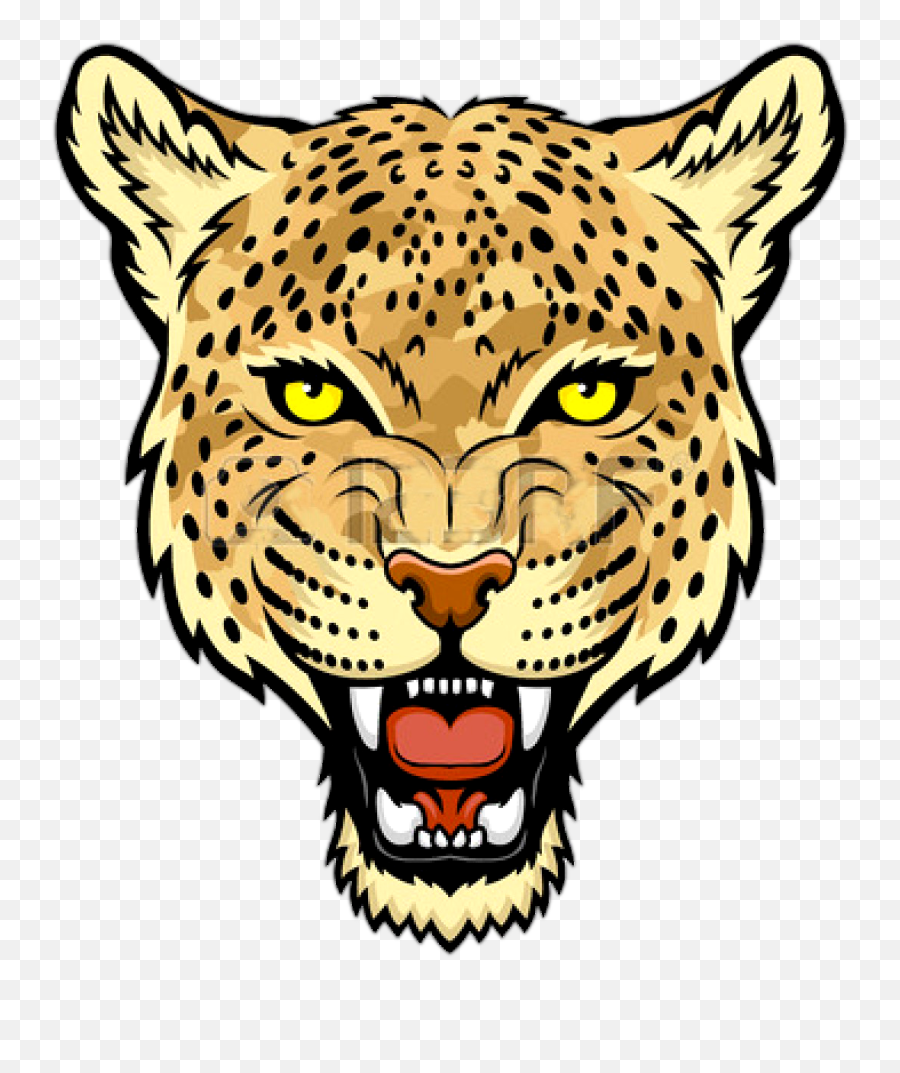 Face Clipart Jaguar Face Jaguar - Cartoon Snow Leopard Face Emoji,Jaguar Emoji