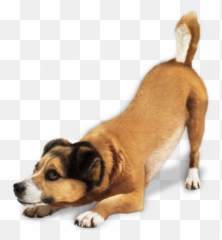 Dog Png And Vectors For Free Download - Transparent Background Emoji