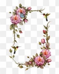 Hummingbird Realistic Transparent Png Clipart Free - Vine And Flower Border Emoji