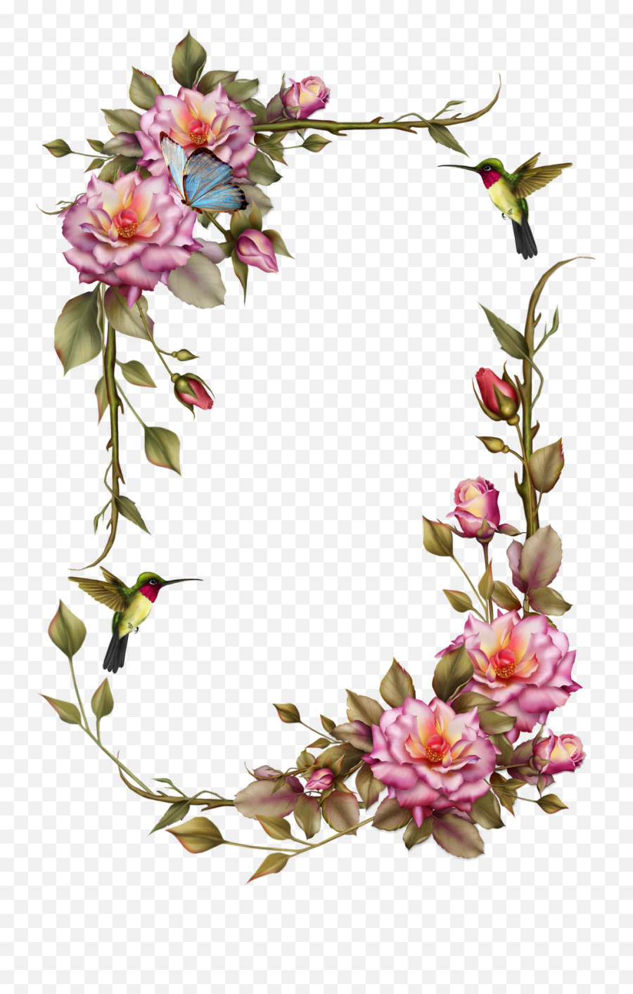 Hummingbird Realistic Transparent Png Clipart Free - Transparent Vine And Flower Border Emoji,Hummingbird Emoji