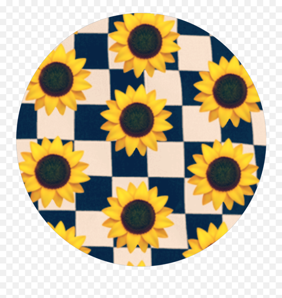 Sticker Flower Circle Yellowcircle Emoji Blackcircle - Checkered Background With Sunflowers,Black Circle Emoji