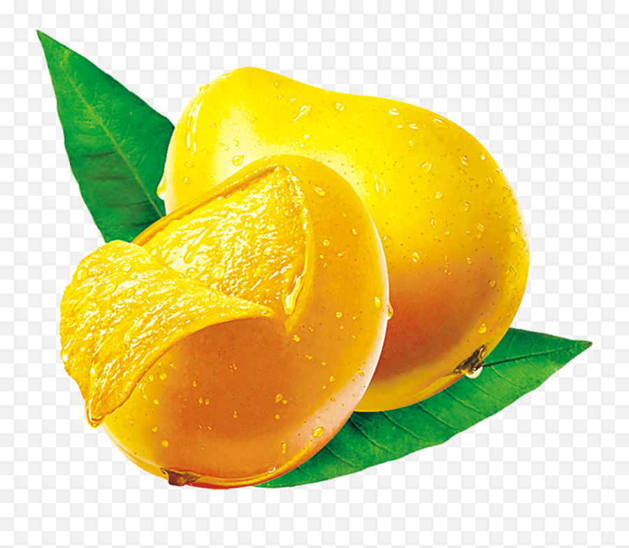 Mango Png Image Free Download Png Svg Clip Art For Web - Mango Png Hd Emoji,Mango Emoji